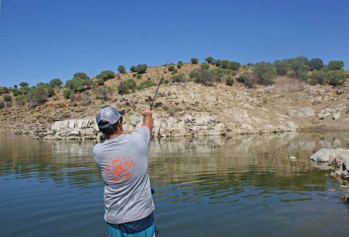 team sakura benoit claverie casting crankbait