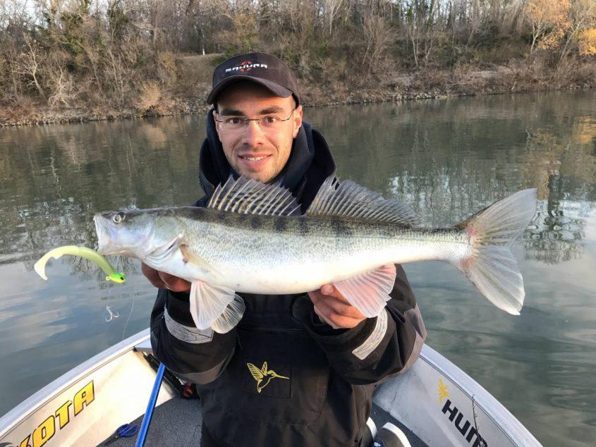 Sandres au leurre souple SAKURAFishing