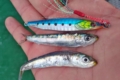 Fidèle imitation des sardines