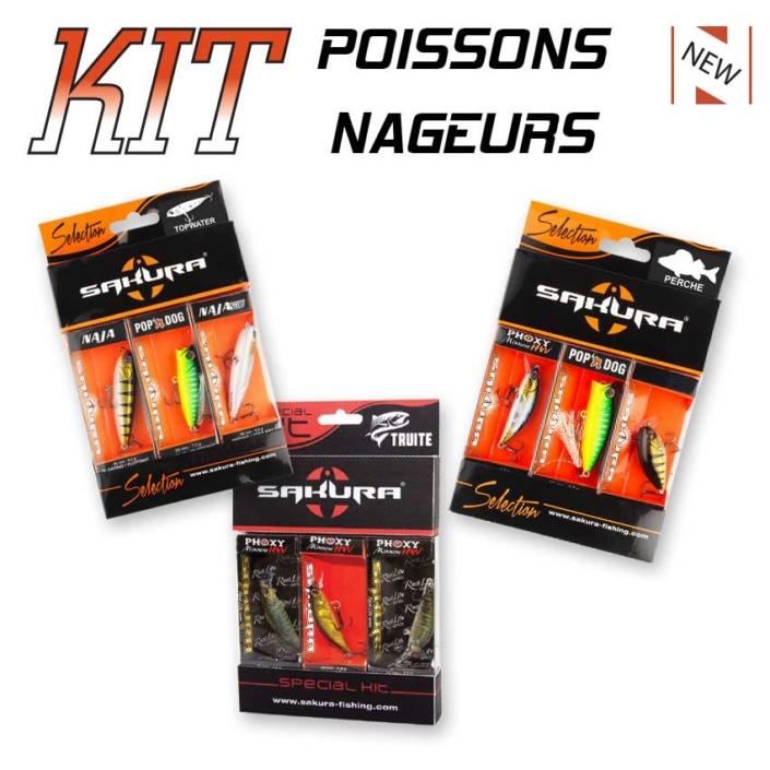 KIT-Poissons-nageurs-2019