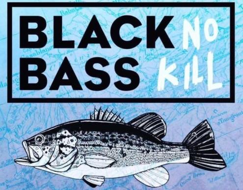 affiche_black_bass_no_kill_2