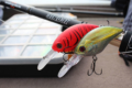 crankbaits-sakura-pour-pecher-le-bass