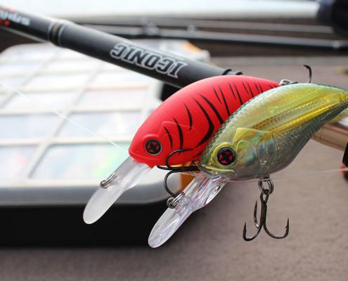 crankbaits-sakura-pour-pecher-le-bass-au-mexqiue