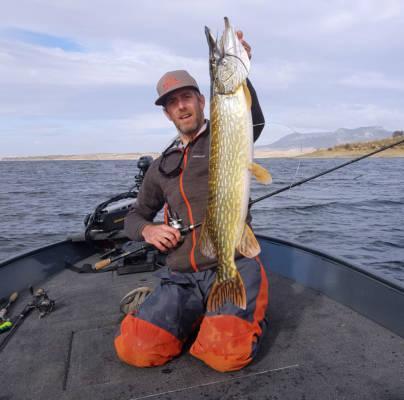 bucktail jig sakura