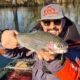 chopsy-minnow-sakura