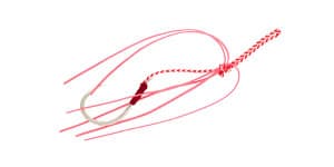 vignette-transition-bottom-assist