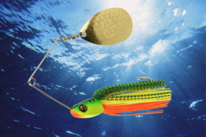 vignettes-transition-zuid-spinnerbait-sakura-2022