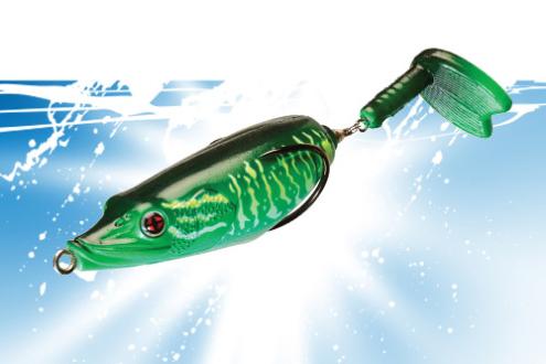 vignette-transition-bubble-frog