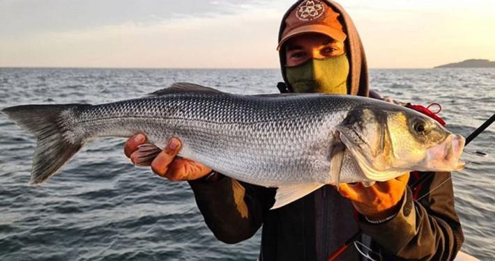 sakura-jullien-duffaux-seabass