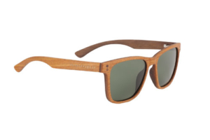 vignette-transition-Lunettes-Polarisantes-Bamboo-2022