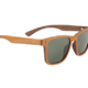 vignette-transition-Lunettes-Polarisantes-Bamboo-2022