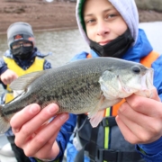 alevinage-black-bass-en-aveyron-avec-Sakura_4