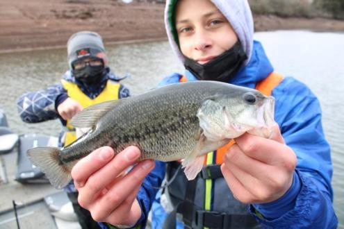 alevinage-black-bass-en-aveyron-avec-Sakura_4