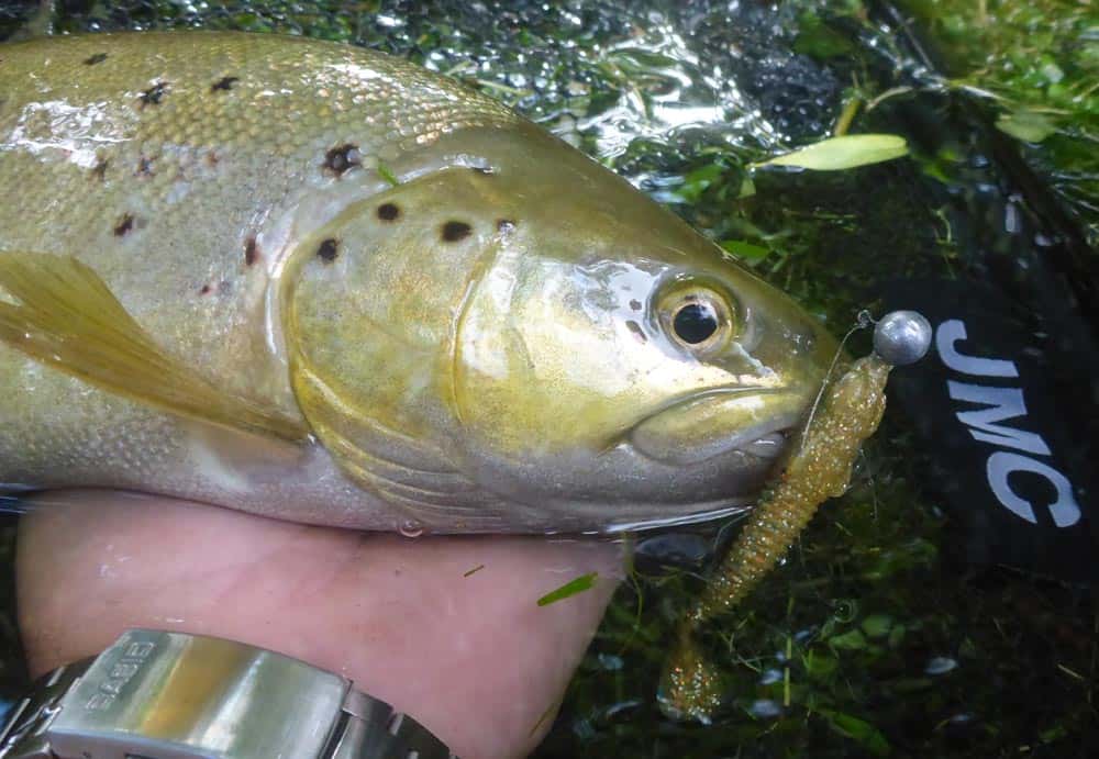 Pêche aux leurres des truites - Pêche Aveyron