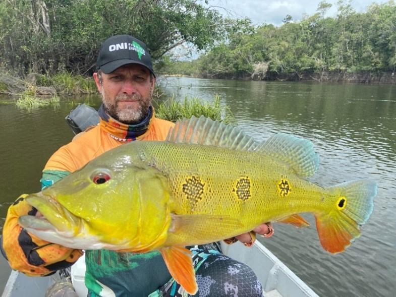 Peacock bass pris sur matériel Sakura-3