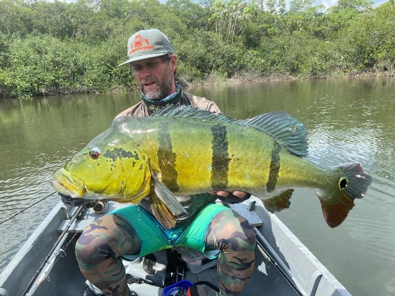 Peacock bass pris sur matériel Sakura