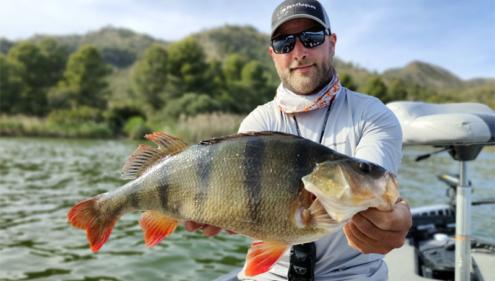 SK-Carnk-Sakura-meilleur-crankbait-pour-les-perches