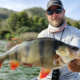 SK-Carnk-Sakura-meilleur-crankbait-pour-les-perches