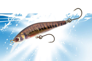 Vignette-transition-Artact-Trout-Sakura-2023