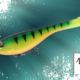 Vignette-transition-Dekai-Swimbait-Sakura-2023