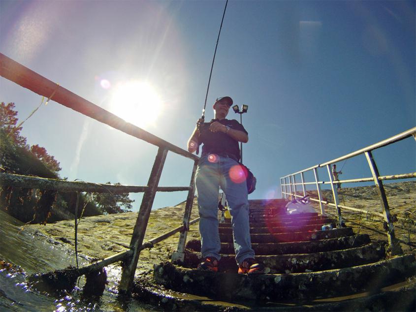 Pêcher la Seiche et le Calamar SAKURAFishing — free download