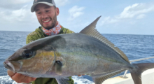Sériole prise avec Orion Jig Sakura