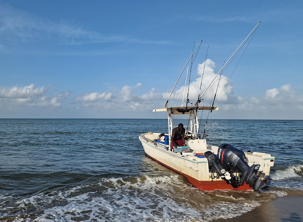 Pêche exotique avec Sakura