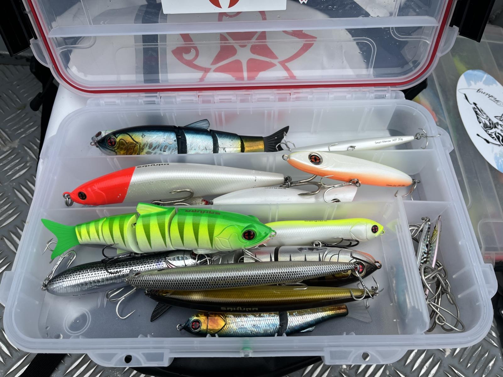 leurres Sakura pour le Peacock bass