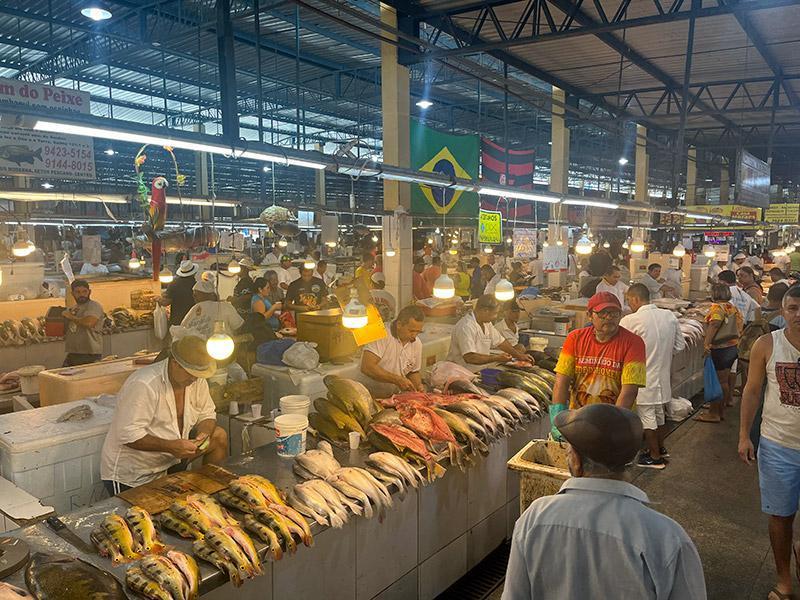 Marché aux poissons au Brésil