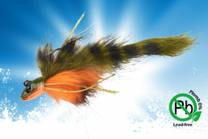 Vignette-transition-Chabio-Zn-Sakura-2024