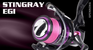 Vignette_som_moulinets-STINGRAY-EGI 2026