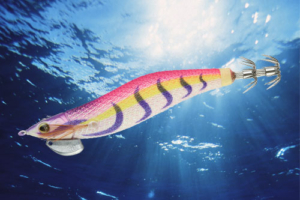 vignette-transition-Stingray-Dart-2024