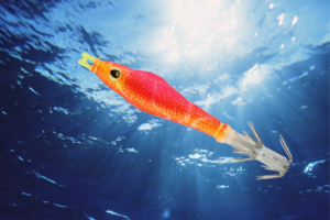 vignette-transition-stingray-oppai-2025