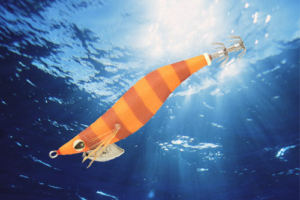 vignette-transition-turlutte-stingray-soft