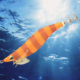 vignette-transition-turlutte-stingray-soft