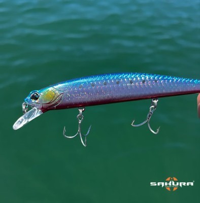 ambiance-bulwip-minnow_2