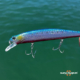 ambiance-bulwip-minnow_2