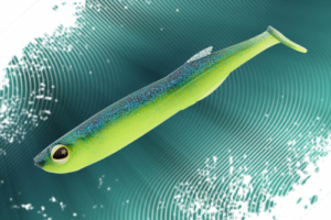 vignette-transition-xprat-shad-sakura-2025