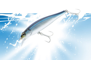 Vignette_Transition_AZU_Minnow_2026