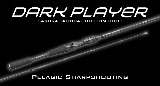 maquette-sommaire-famille-ionizer-dark-player