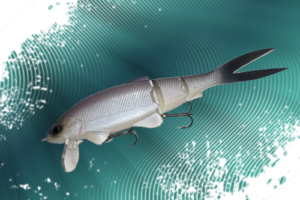 Vignette_Transition_Muon-Baum