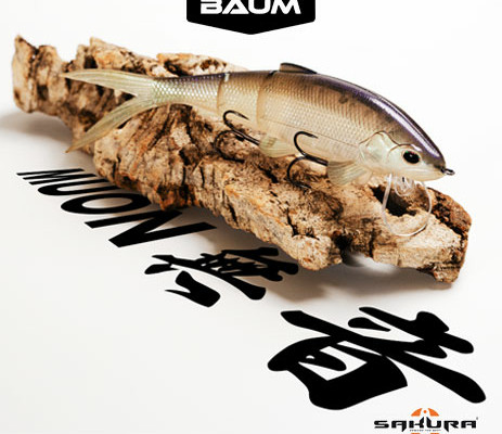 ambiances-Sakura_BAUM_0