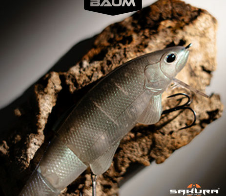 ambiances-Sakura_BAUM_1