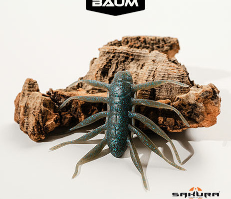 ambiances-Sakura_BAUM_4