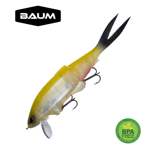 colorama-leurres-souples-muon-009