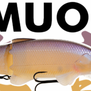 vignette-YT-BAUM-MUON---SAKURA