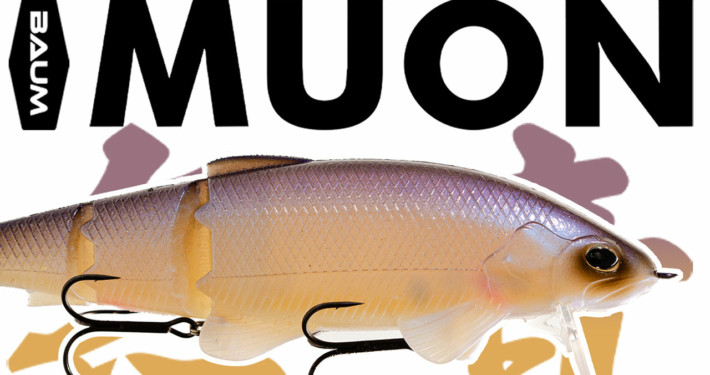 vignette-YT-BAUM-MUON---SAKURA