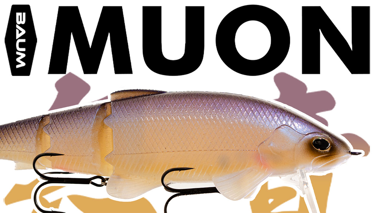 vignette-YT-BAUM-MUON---SAKURA