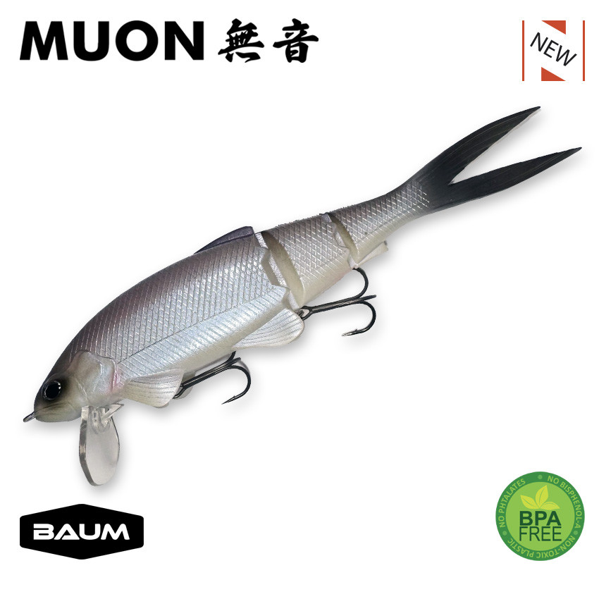 vignette_2-MUON-BAUM