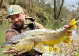 Hugo Gallinaro - Sakura Pro Staff